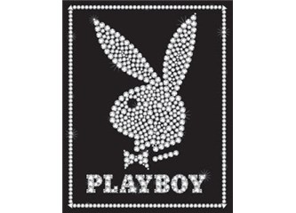 Bir Playboyun günlüğünden 33. Bölüm