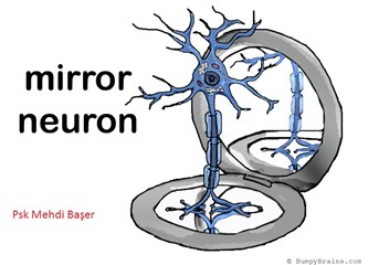 Psikolojinin DNA’sı “Ayna Nöronlar”