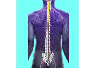 Gergin omurilik sendromu (tethered cord)