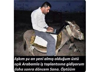 Put taşıyan eşek