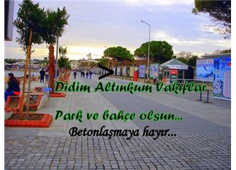 Didim'in hırsızları