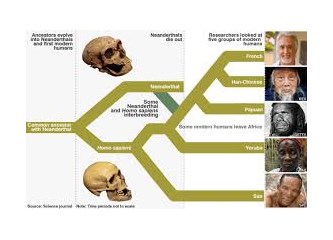 Homo Sapiens Posterus