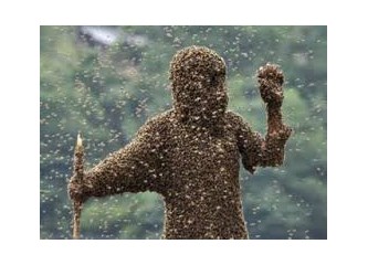 Eşek arısı soksun