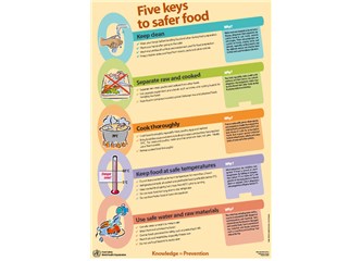 Dünya Sağlık Örgütü; “Tarladan tabağa güvenilir gıda"