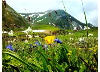 İki mevsimlik hayat