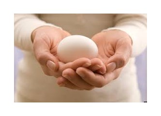 Yumurta Donasyonu ve Donör Seçimi