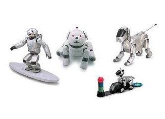 Robotlar 2013: Bir