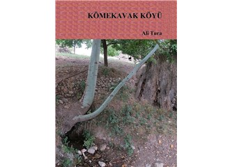 Kömekavak Köyü