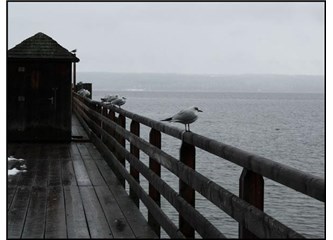 Seni ne kadar sevebilirim?