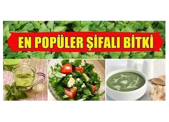Her derde deva şifalı bitkiler...