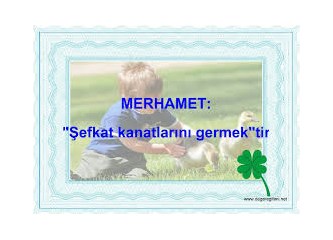 Merhamet