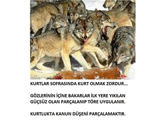 İsrail - Kürdistan (PKK) dosyası; Kürtler de Yahudiler gibi devlet kurucusu değil oyuncudur (2)