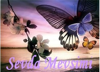 Bu iş yaşa bakmıyor