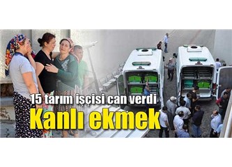 Ne kadar kolay söylediler,”Trafik kazasında 15 tarım işçisi öldü” diye.