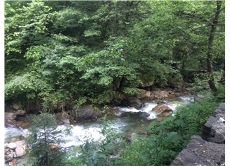 Trabzon