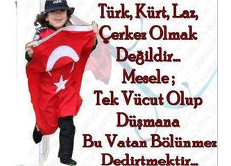 Her Kürt hain, her Türk vatanperver değildir...