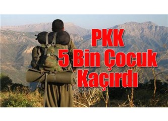 Türkiye için zor seçenek; ya PKK’yı yok edecek ya Kürdistan’a vize verecek