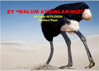 Ey "malum aydınlarımız!"
