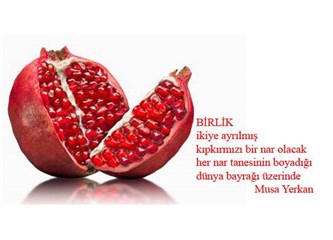 Birlik