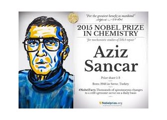 İkinci Türk'e Nobel ödülü...