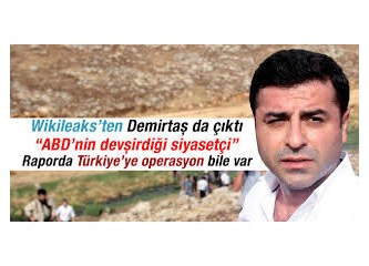 Demirtaş bir "proje" midir?