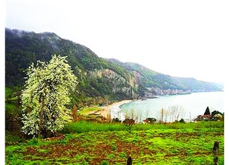 Karadeniz'deki Lav Kayalıkları,  turizme açılıyor.