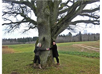 Ağaçla Terapi :Şifanın kaynağı