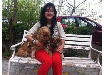 Cesur bir hikaye