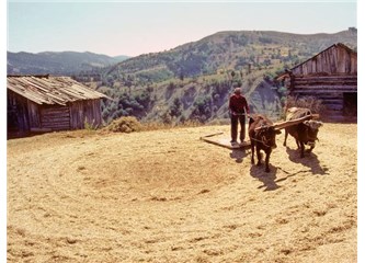 Hayata anlam arama serüveni