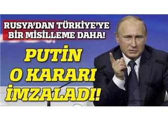 Türkiye’nin Rus ambargosuna misilleme yapacağı herhangi bir kozu yok