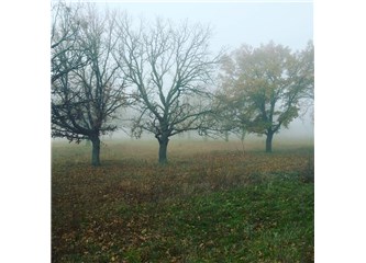 Kul sıkışınca...