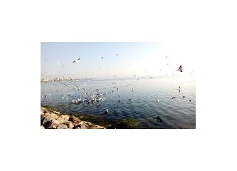 2016 Ocak ayı burç yorumu