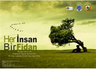 Haiku. B16: Fidan