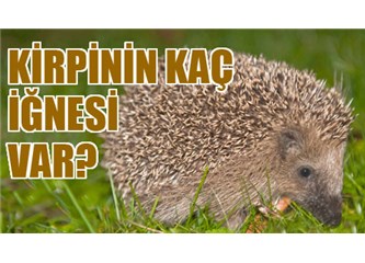 Adalet Bakanlığı sınavında sorulan ilginç sorular...