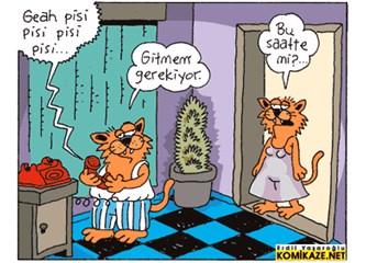 Türkiye’ye birden Biden geldi ve ‘kedi’ dedi!