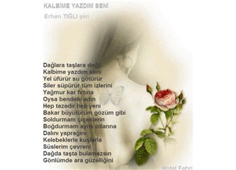 Mutlu Geliş