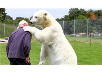 Kutup ayısı komşum olsaydı ama beni yemeseydi