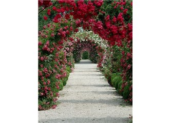 Yaşamda doğru seçimler yapmak