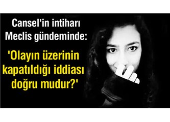 Cinsel saldırı ve tecavüz kabul edilemez ancak herkes bu nedenle canına kıymaz