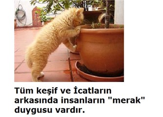 Fal merakı felaket nedeni olabilir mi?  “Kendini gerçekleştiren kehanet”  (2)