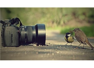 Üniversitenin fotoğrafçısı