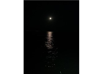 İki balık üç yol