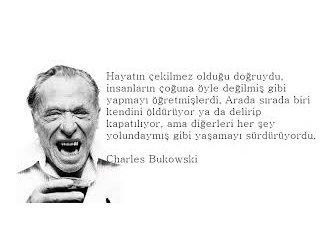 Hiç ben dudak dudağa öpüşen bir çift inek ve boğa görmedim.