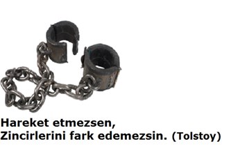 “Sosyal Ağlar”, Bedava’dır. Ancak: Yaşamda hiçbir şey bedava kadar yüksek maliyetli değildir. (son)