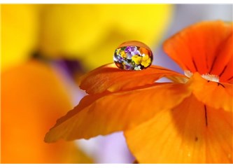 Ruhumuz tüy kadar hafif artık (1/2)