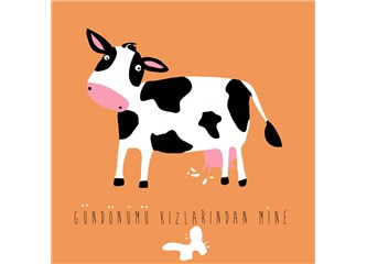 İneklerin kakası kötü kokar mı?