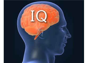 İnsanların IQ‘ları neden farklı; beyinlerimiz aynı büyüklükte değil mi?