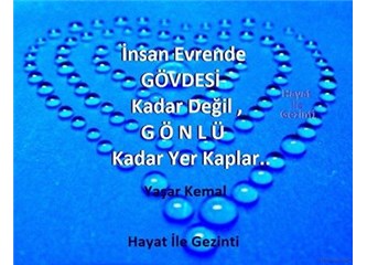 En Güzel Kelime