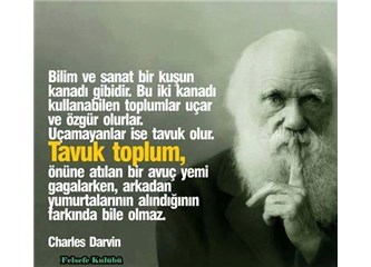Avcilar Savcılar ve Köpekler