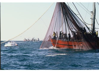 Sarıyer’de bu sabah balıkçılar